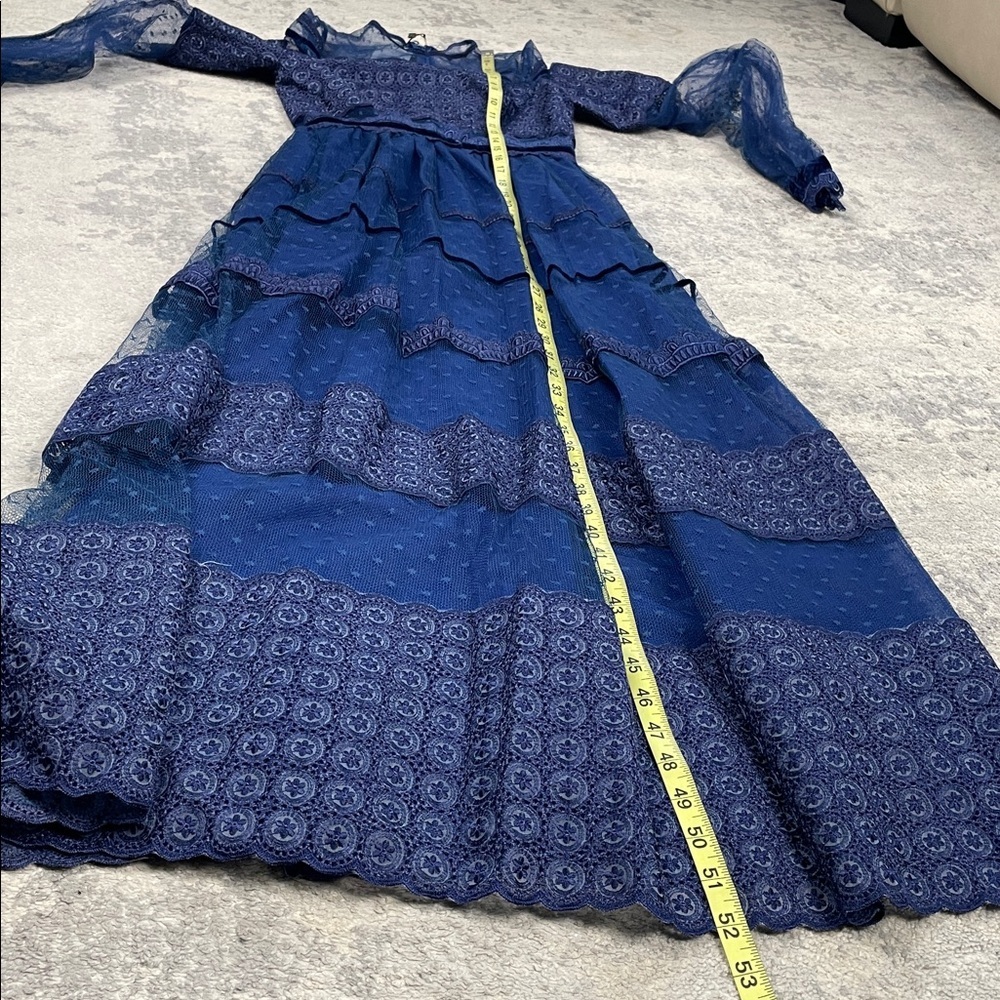NWT Costarellos Blue Lace Panelled Maxi Dress Prairie Dot Tulle Sz 34 - Picture 13 of 15